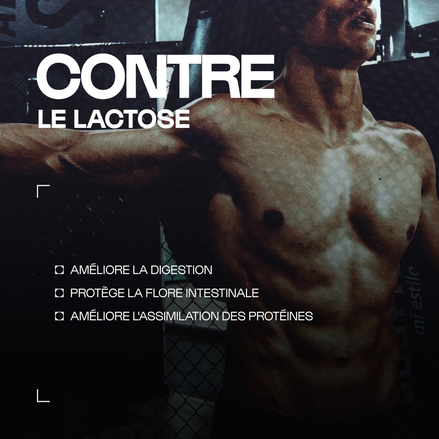 Mix pré & probiotiques