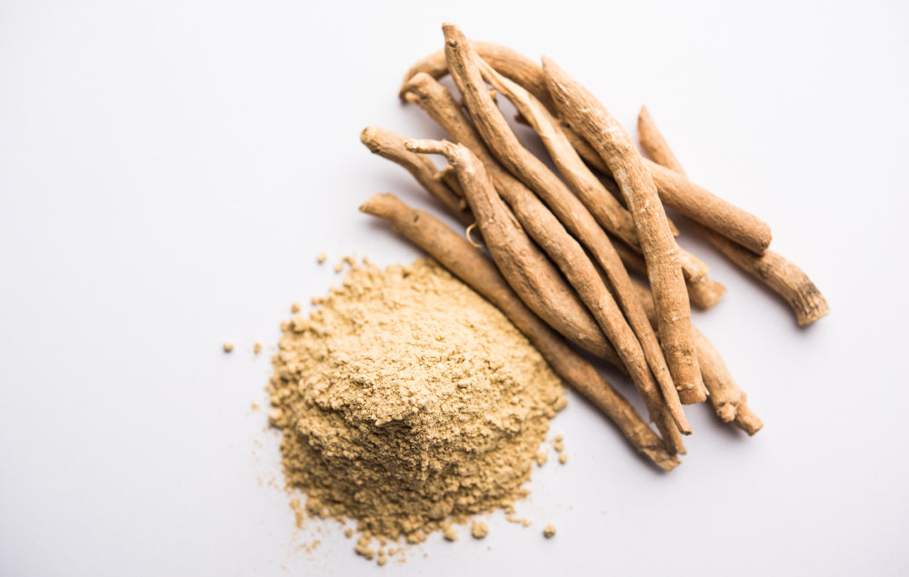 rhodiola ashwagandha lequel choisir