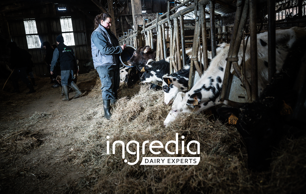 Ingredia : un partenaire clé pour la qualité des protéines Nutrimuscle