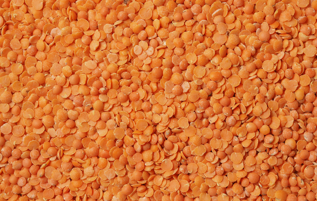 Les bienfaits des lentilles corail