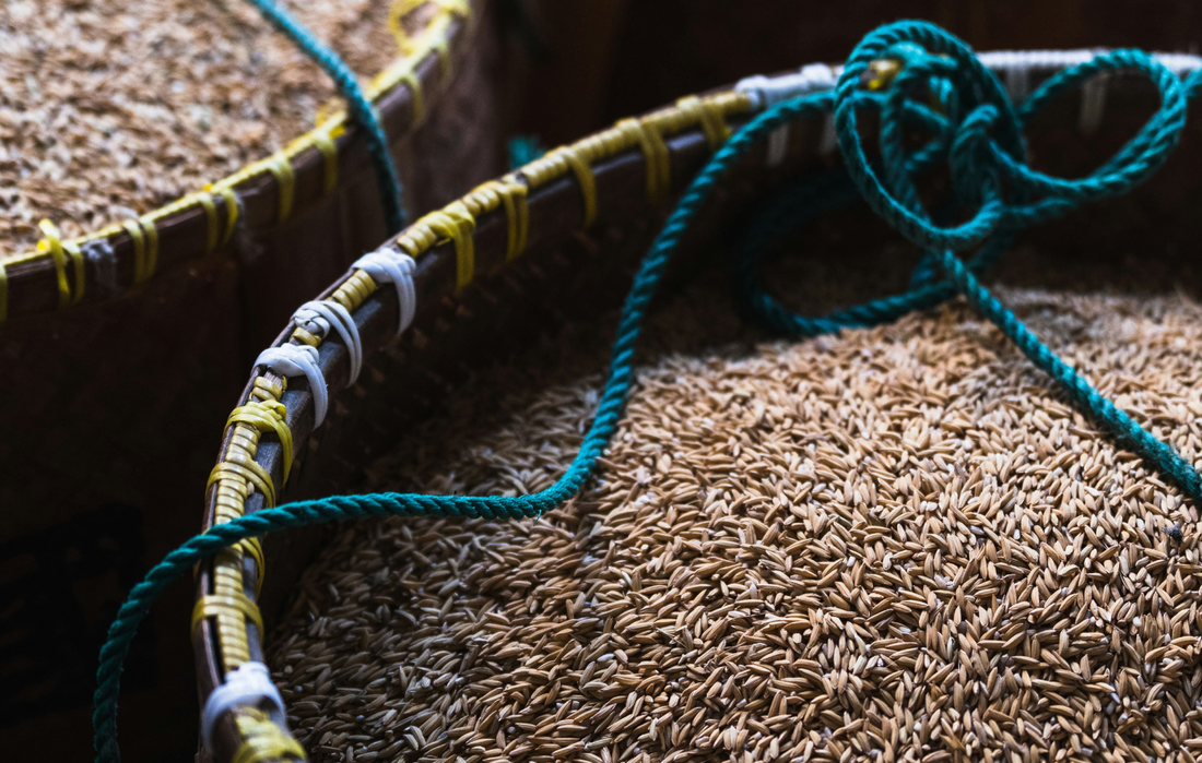 Les bienfaits du cumin