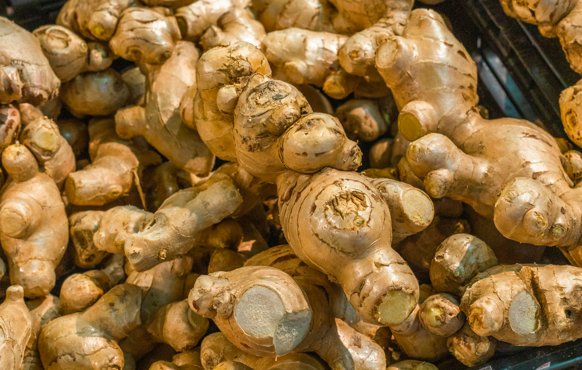 Les bienfaits du gingembre