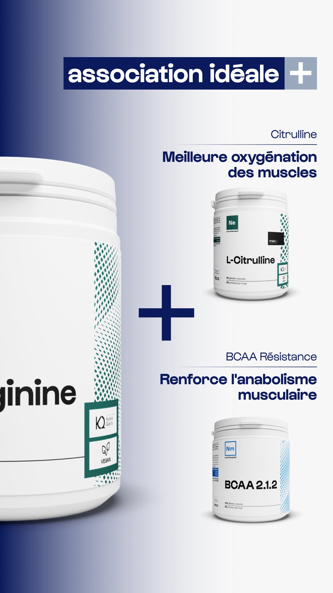 Arginine (L-Arginine Base)