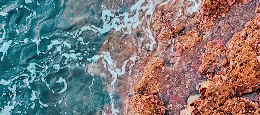 Astaxanthine Astareal® 
