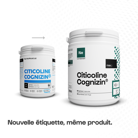 Citicoline Cognizin en gélules