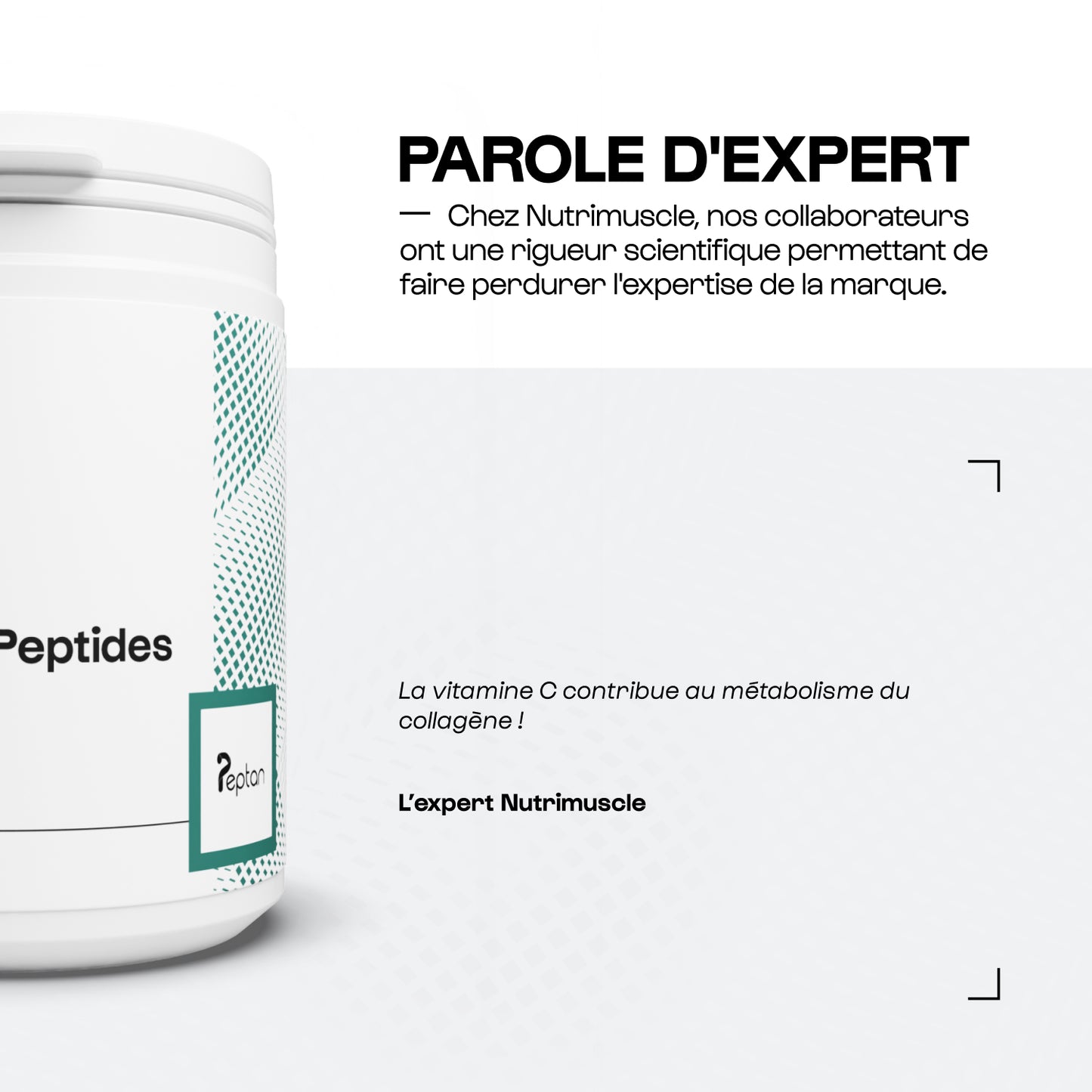 Péptido de colágeno Peptan® 1 en polvo