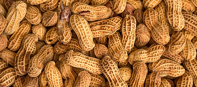 Illustration de