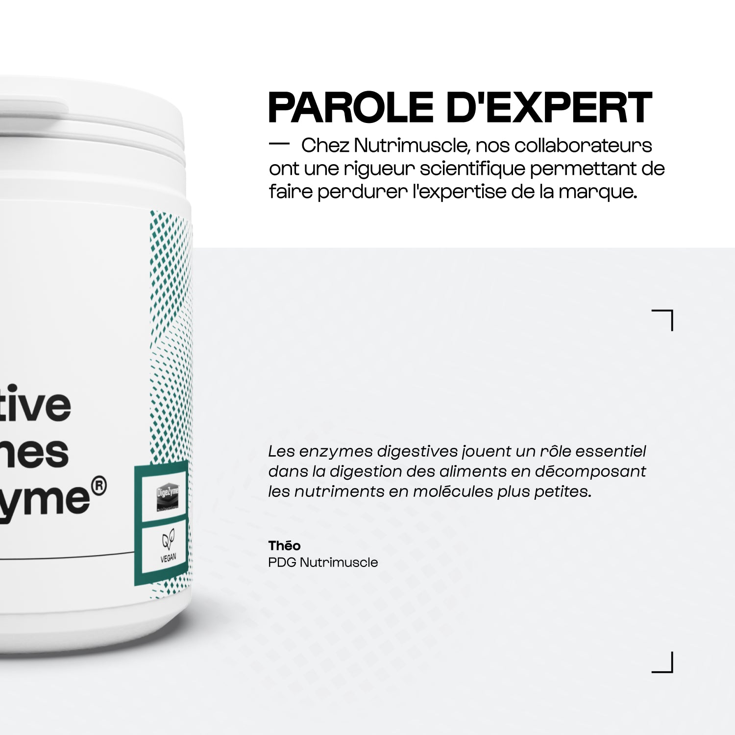 Enzimas digestivas (Digezyme®)