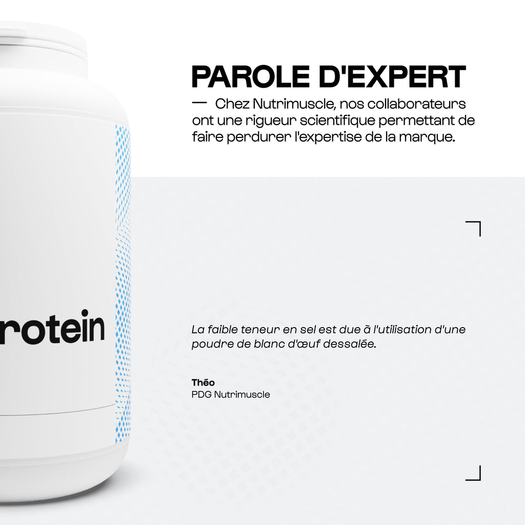 Proteína de huevo en polvo