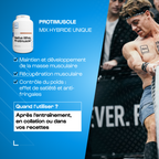 Pack Hybride