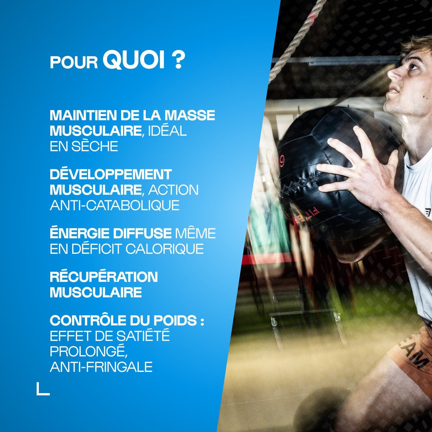 Protimuscle: mezcle proteína