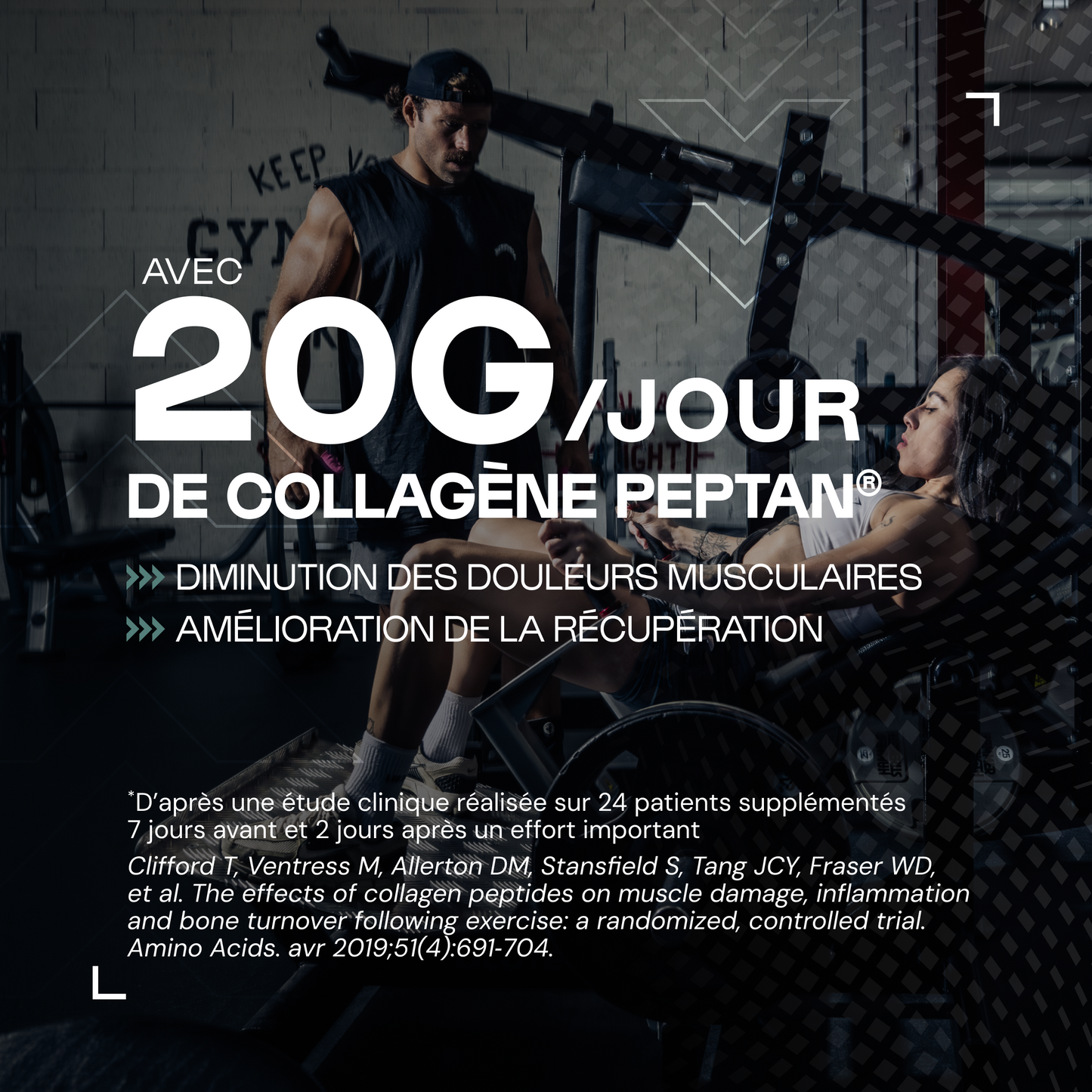 Collagène Peptides Peptan® en poudre