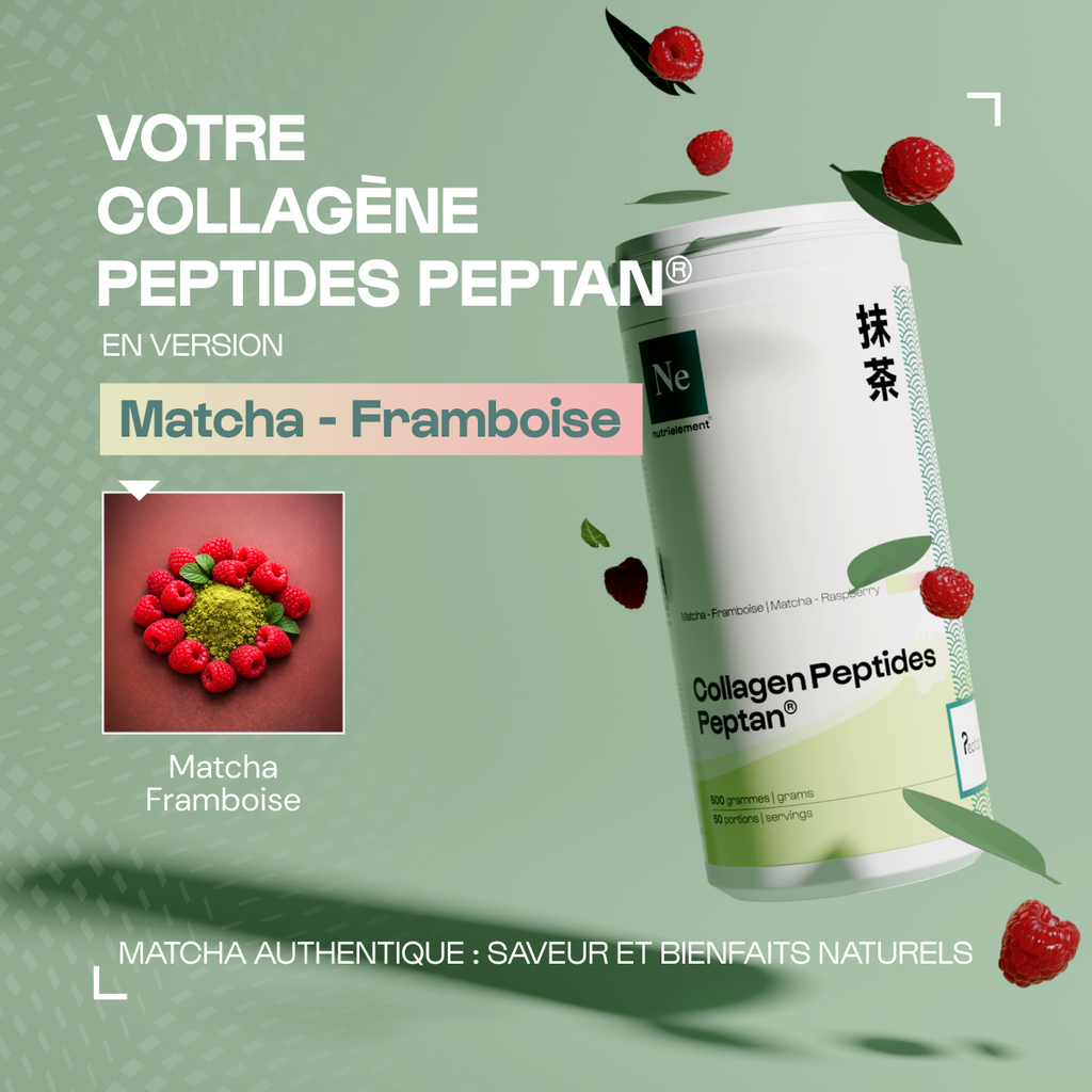 Péptido de colágeno Peptan® 1 en polvo