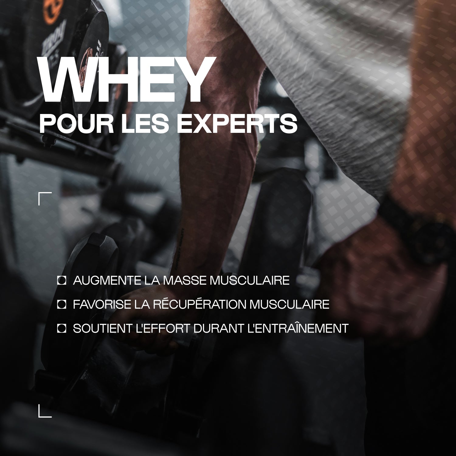Whey Hydrolysée Native