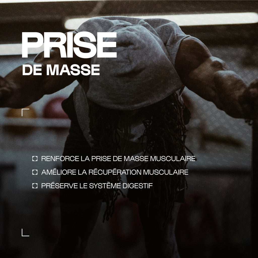 Musclemasse - Ganador duro