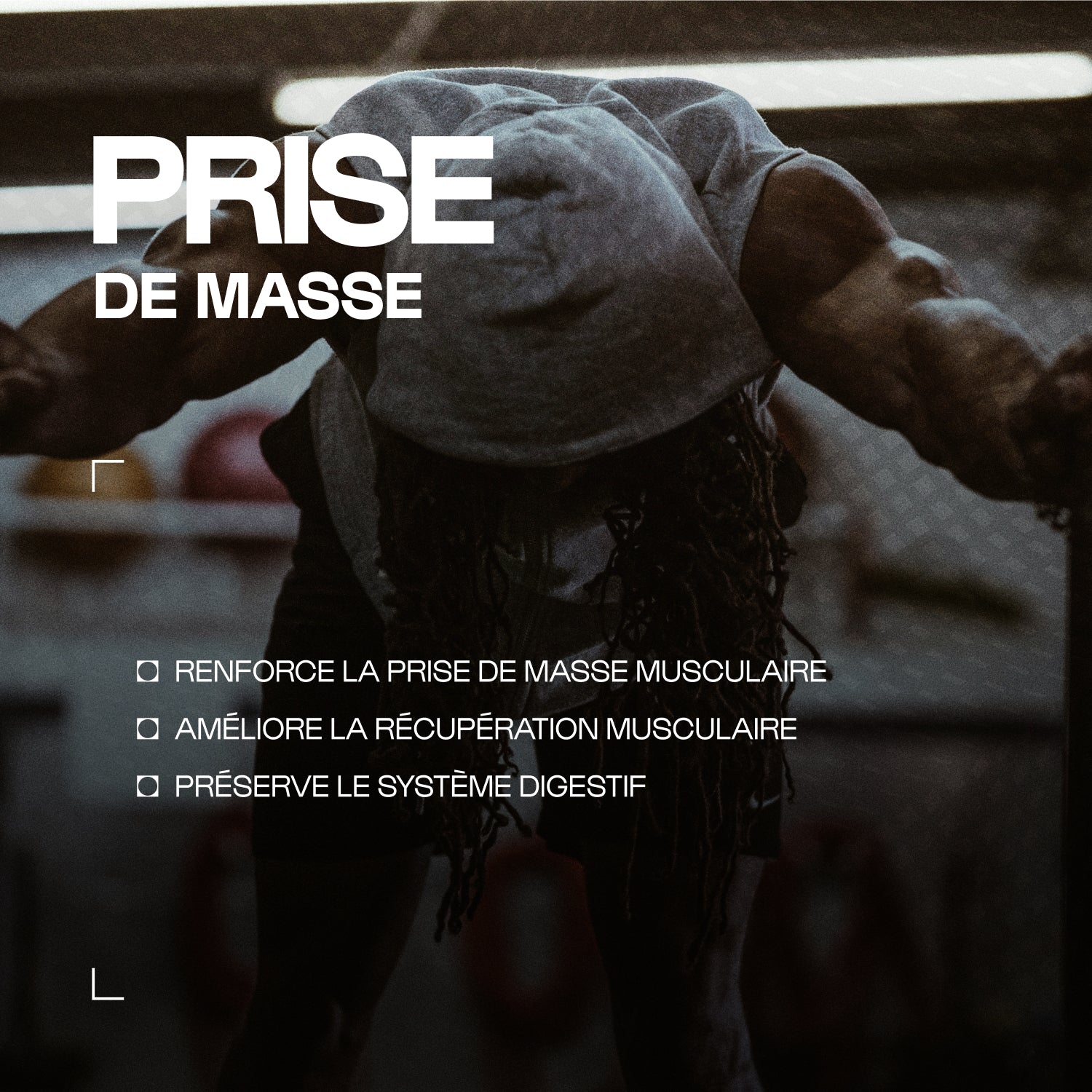 Musclemasse - Ganador duro