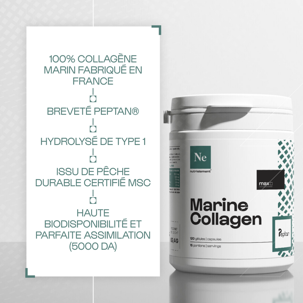 Colágeno marin peptan® 1 en polvo