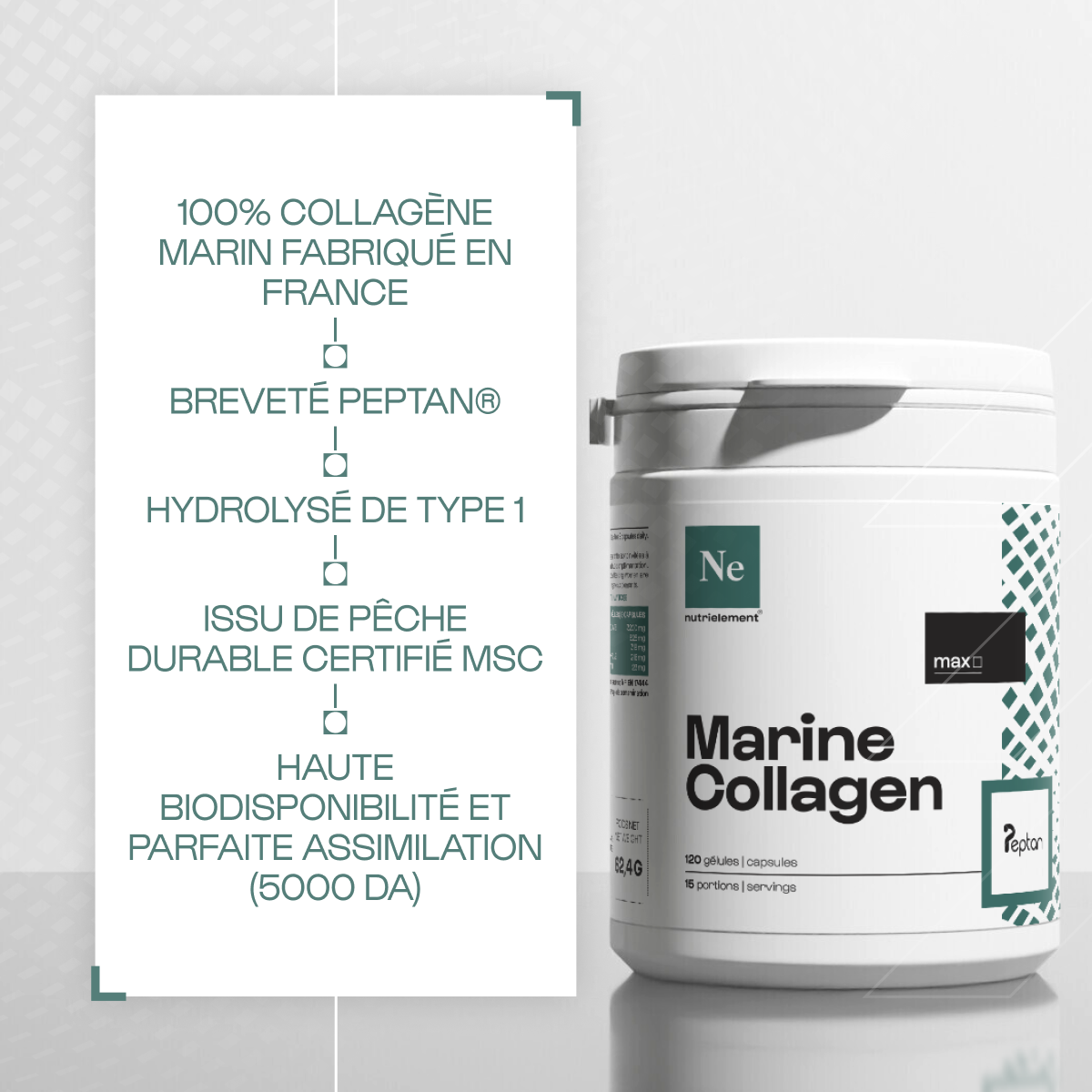 Colágeno marin peptan® 1 en polvo