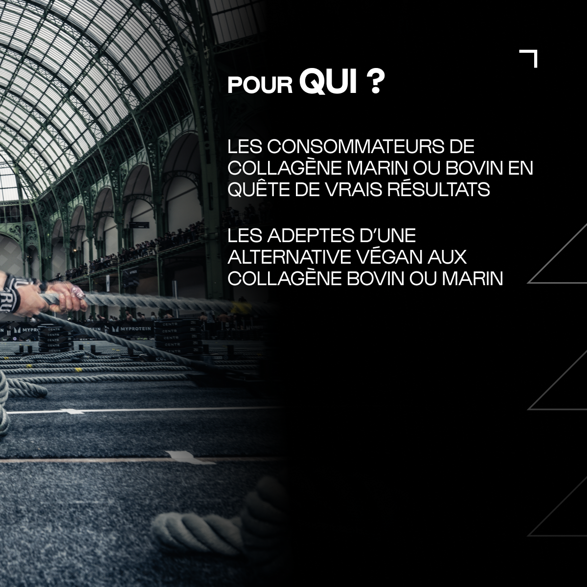 Un aminoácidos de colágeno 4.4.1 en polvo